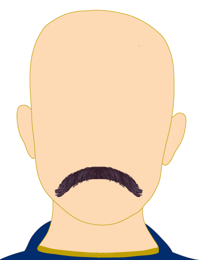 Baard- en snortransplantaties afbeelding